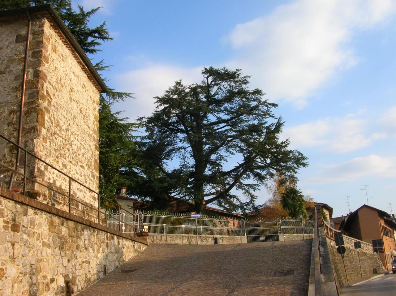 Bed and Breakfast Antica Scuderia Buttrio Экстерьер фото